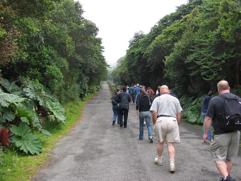 1286 - Poas - En route vers le volcan.JPG