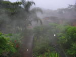 1520 - Arenal - Hot springs de Tabacon 2.JPG