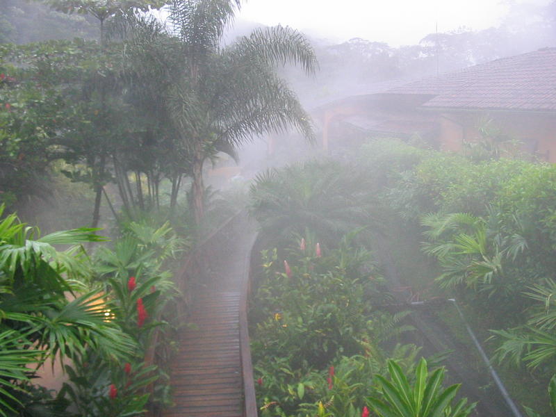 1522 - Arenal - Hot springs de Tabacon 3.JPG