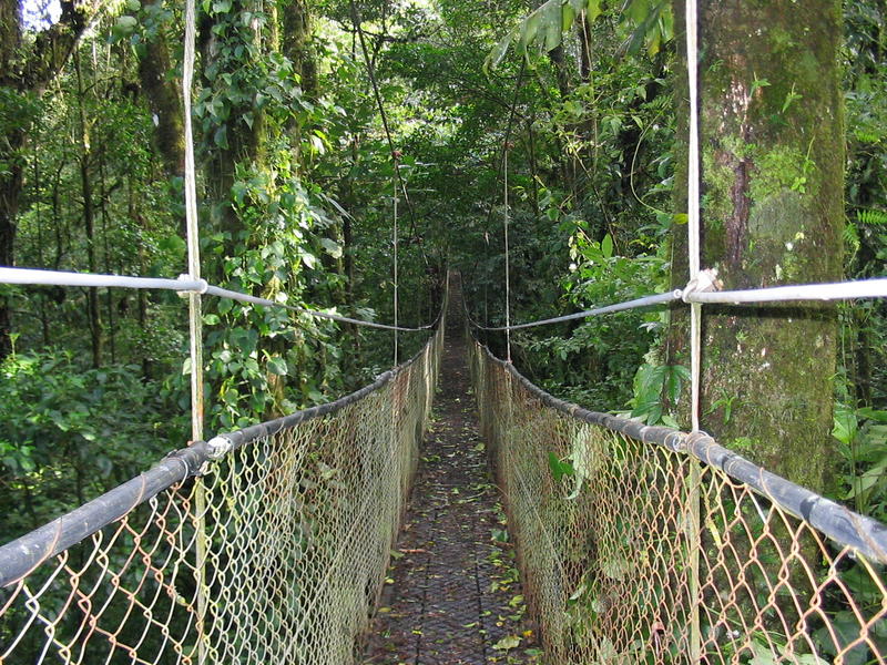 1580 - Monteverde - Passerelle du Skywalk.JPG