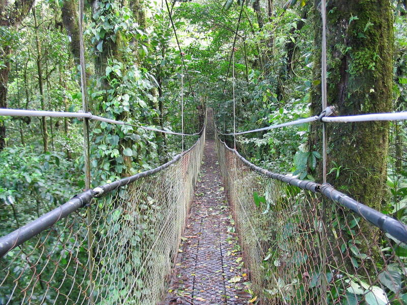 1581 - Monteverde - Passerelle du Skywalk.JPG