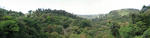 Pano18 - Monteverde - Vue du Skywalk 12AM.jpg