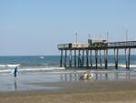 Wildwood0019.JPG