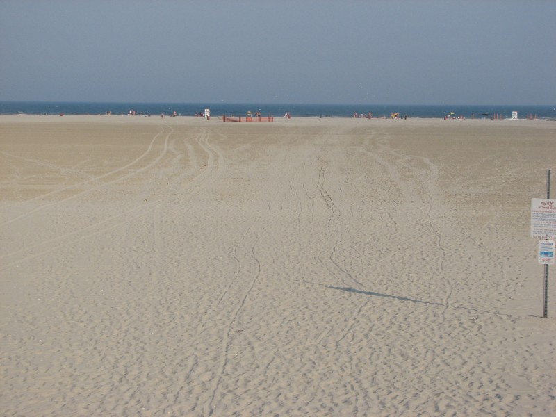 Wildwood0084.JPG