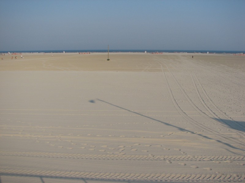 Wildwood0087.JPG