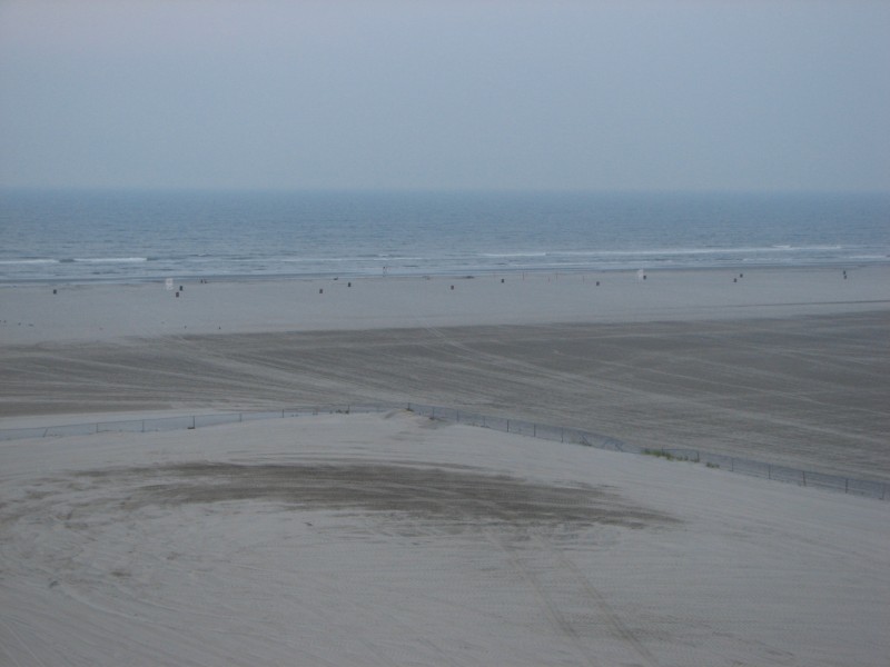 Wildwood0096.JPG