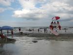 Wildwood0120.JPG