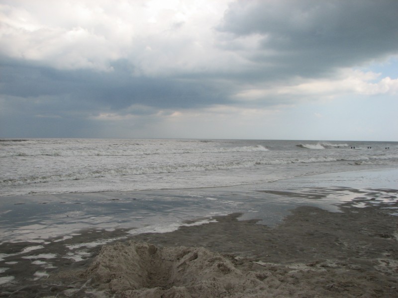 Wildwood0124.JPG