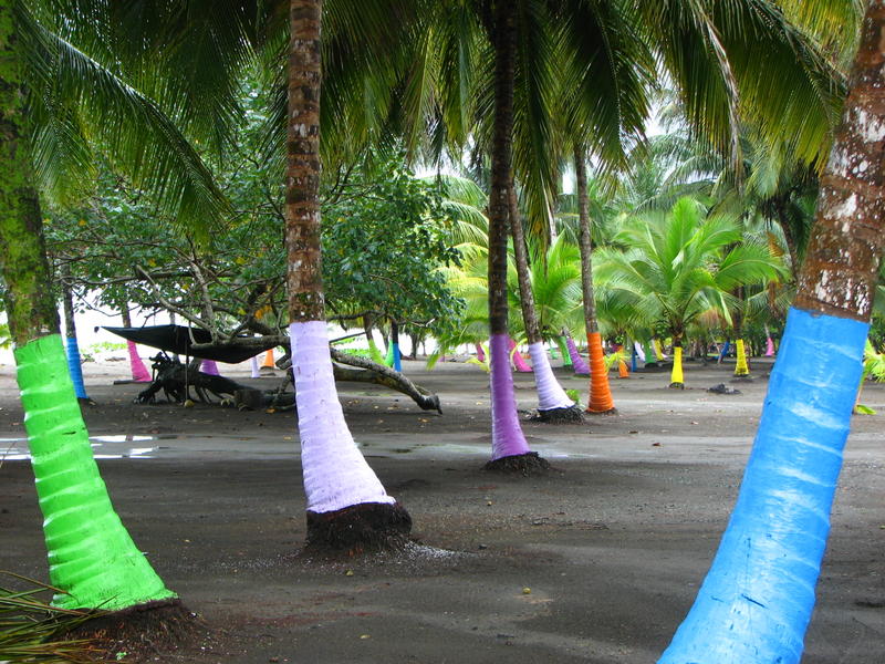 228 - Painted Palms Beach.jpg