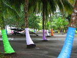 228 - Painted Palms Beach.jpg