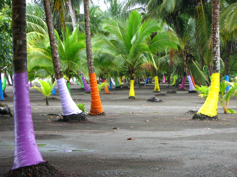 229 - Painted Palms Beach.jpg