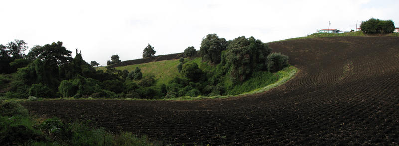 Costa Rica - Irazu - Environs - Pano.jpg