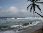 Playa Cocles et Puerto Viejo