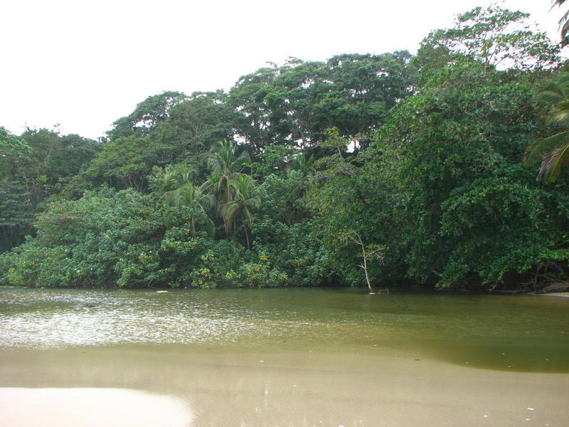 154 - Playa Cocles.jpg