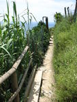 2825 - Cinque Terre.JPG