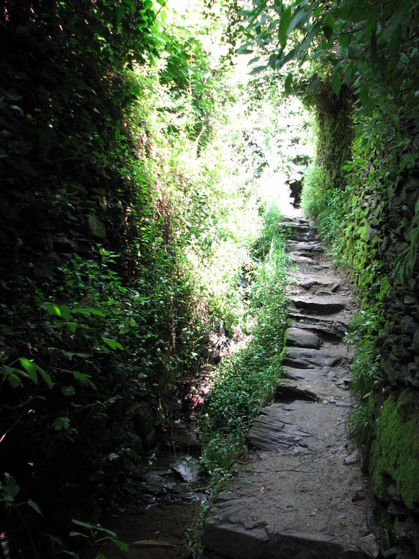 2833 - Cinque Terre.JPG