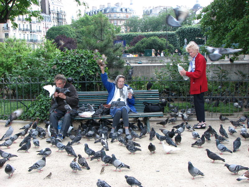 2177 - Paris - Notre-Dame.JPG