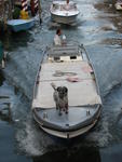 3107 - Venise - Cannaregio.JPG