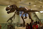 New York 2012 325.JPG